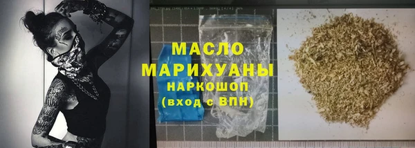 гашик Каменка