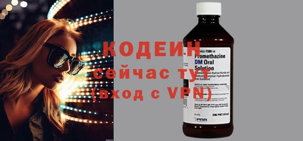 гашик Каменка