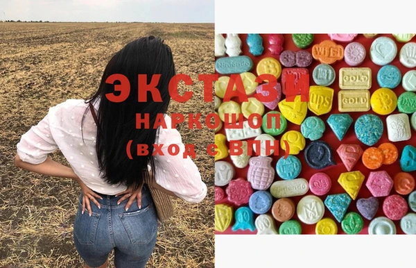 гашик Каменка