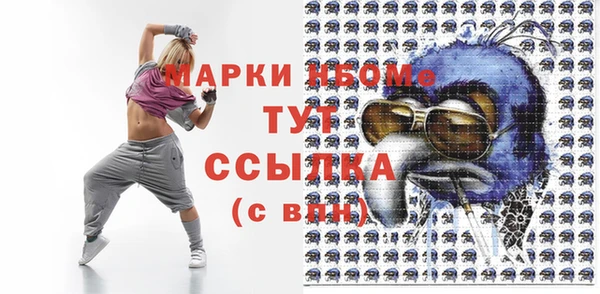 гашик Каменка