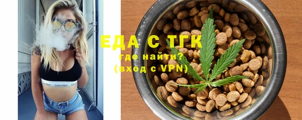 гашик Каменка