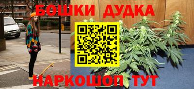 индика Обнинск