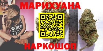 прущие грибы Абакан