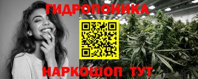 индика Обнинск