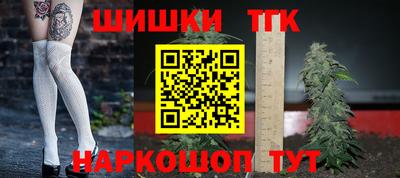 индика Обнинск
