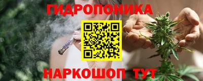 индика Обнинск