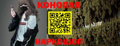 индика Обнинск