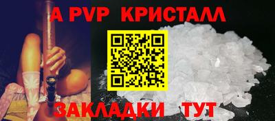 прущие грибы Абакан