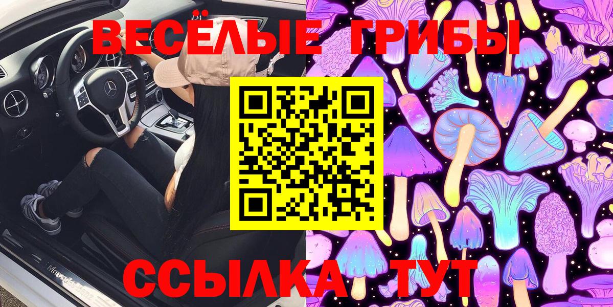 Галлюциногенные грибы MAGIC MUSHROOMS  Вход с VPN  Норильск 